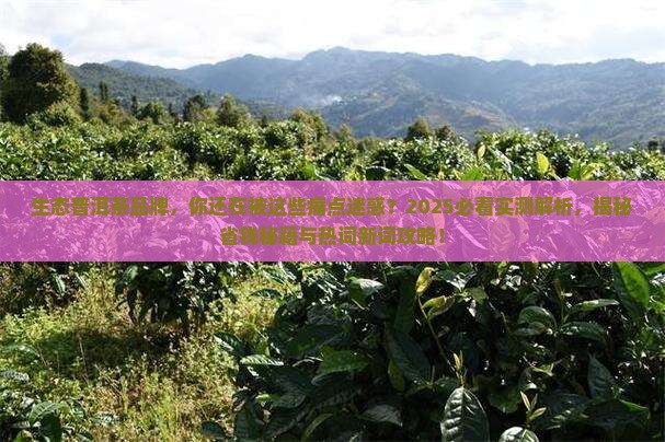 生态普洱茶品牌