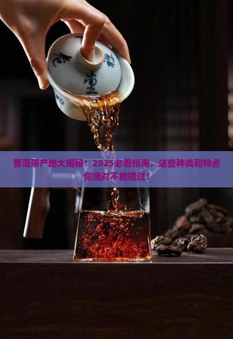 普洱茶的产地种类及特点