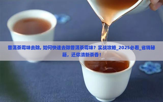 普洱茶霉味去除