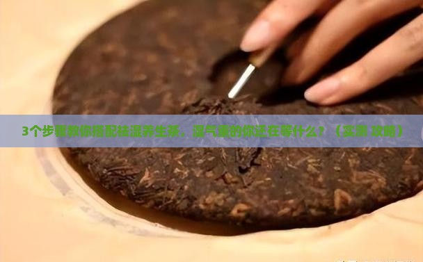 祛湿养生茶怎么搭配