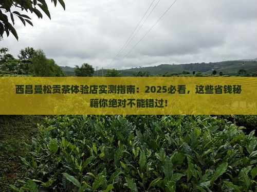 西昌曼松贡茶体验店