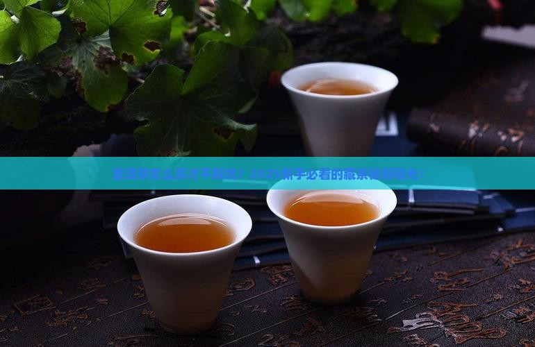 普洱茶购买藏如何选择