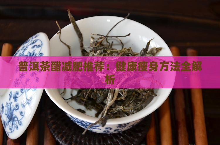 普洱茶醋减肥推荐