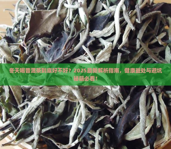 冬天可以喝普洱茶吗