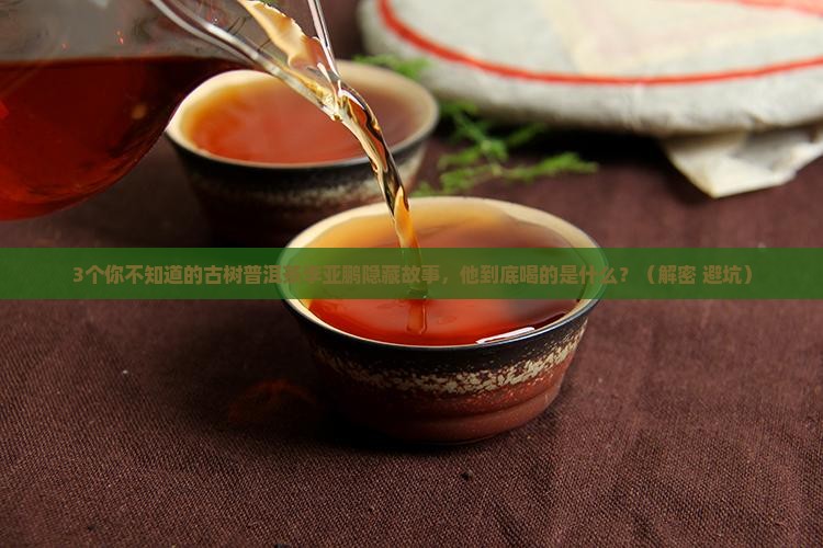 古树普洱茶李亚鹏