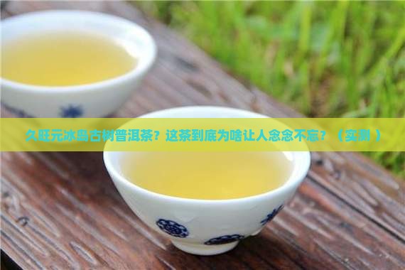 久旺元冰岛古树普洱茶