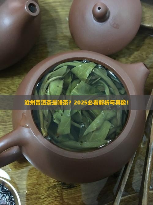 沧州普洱茶属于什么茶