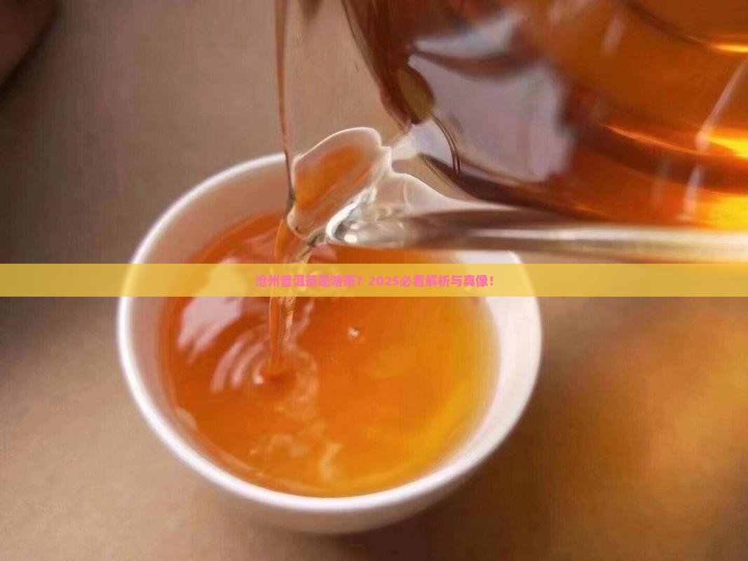 沧州普洱茶属于什么茶