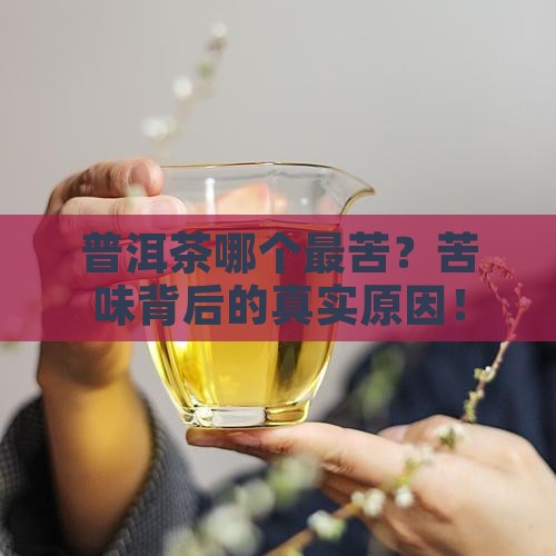 普洱茶哪个最苦