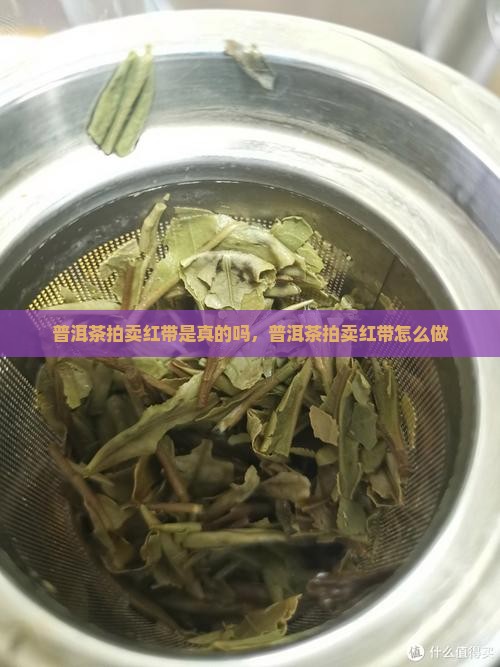 普洱茶拍卖红带