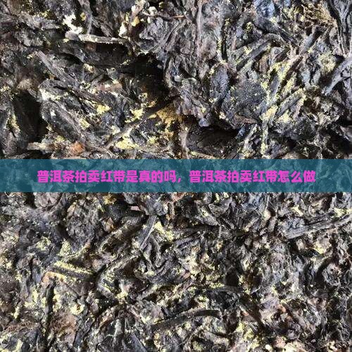 普洱茶拍卖红带