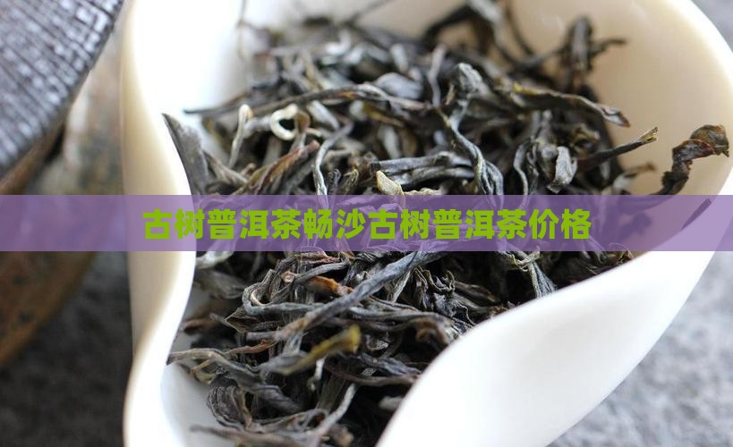古树普洱茶畅沙古树