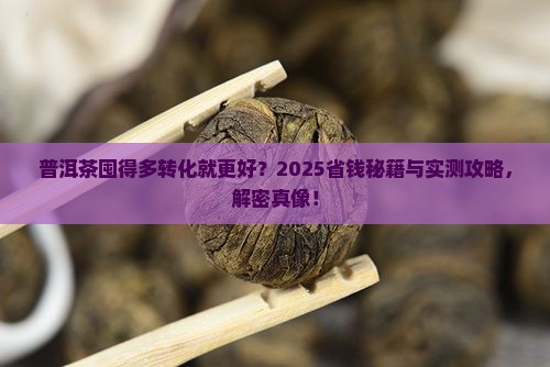 普洱茶多囤转化得更好吗