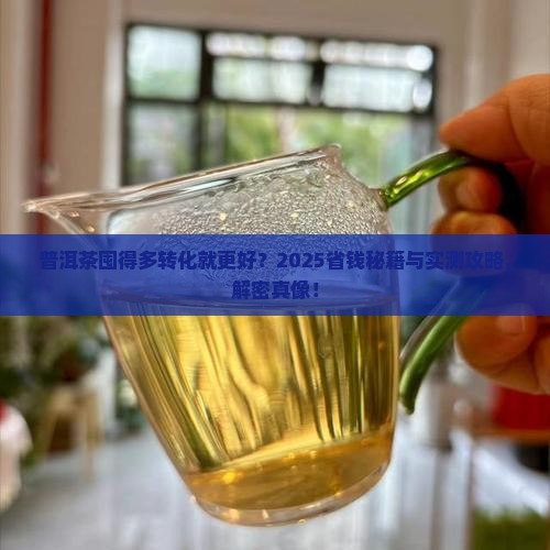 普洱茶多囤转化得更好吗