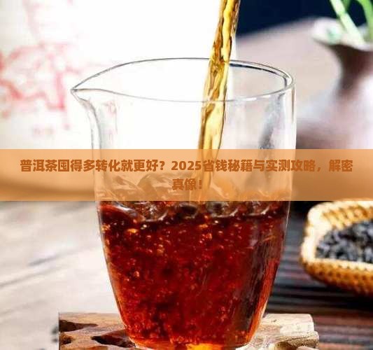 普洱茶多囤转化得更好吗