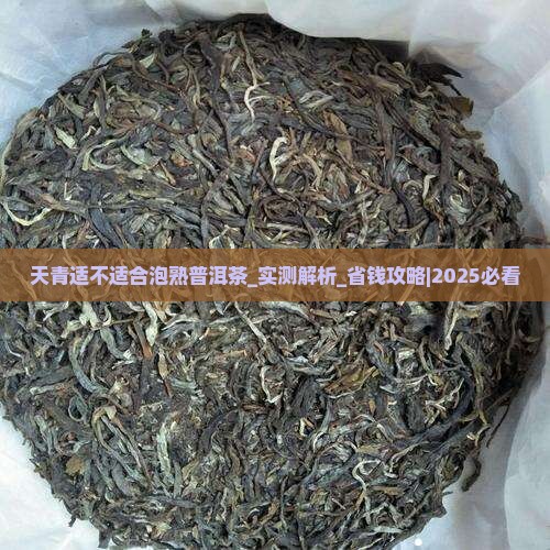 天青适不适合泡熟普洱茶