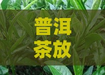 普洱茶放冰箱会不会坏