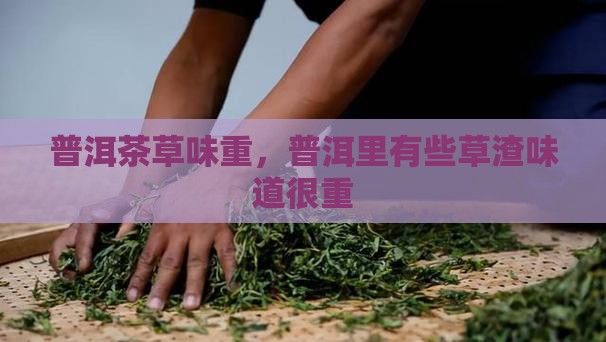普洱茶里有些草渣味道很重