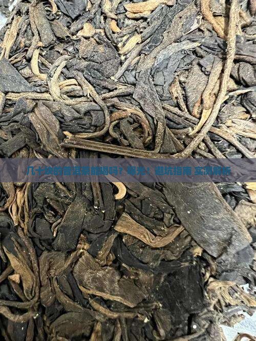 几十的普洱茶能喝吗