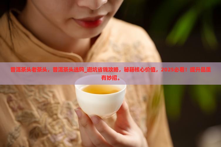 普洱茶头老茶头