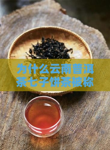为什么普洱茶都是七饼