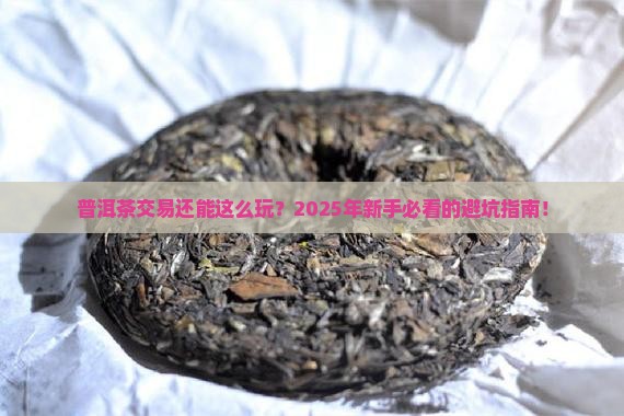 普洱茶交易论坛