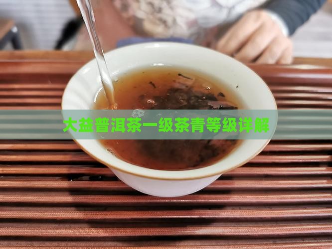 大益一级茶青级别的茶