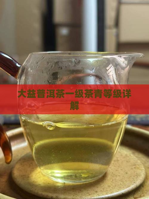大益一级茶青级别的茶