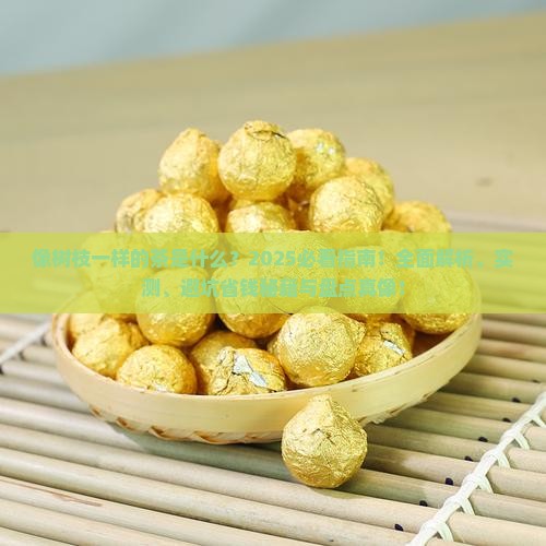 像树枝一样的是什么茶