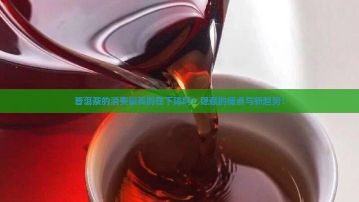 普洱茶的消费量