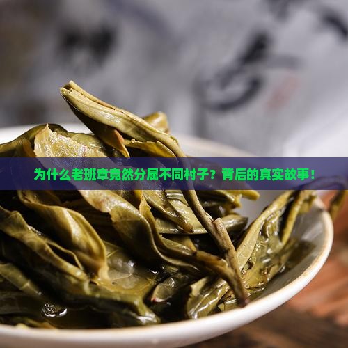 为什么老班章有不同的村子