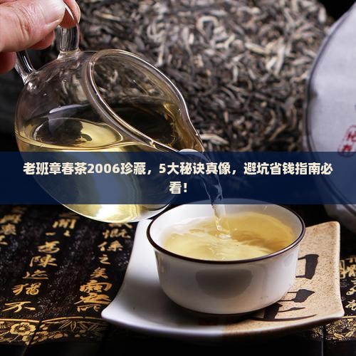 2006老班章春茶