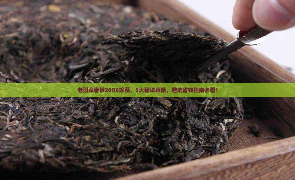 2006老班章春茶