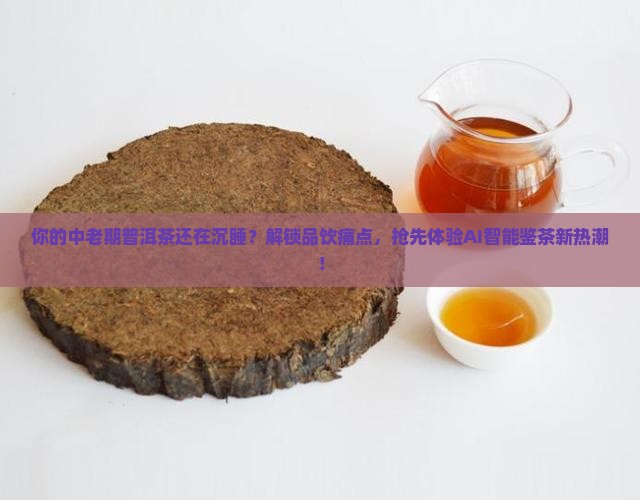 中老期普洱茶分享