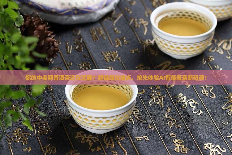 中老期普洱茶分享