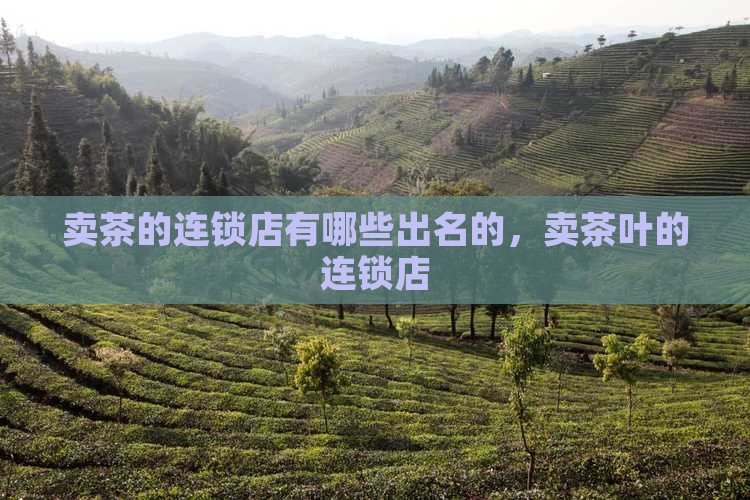 卖茶的连锁店有哪些出名的