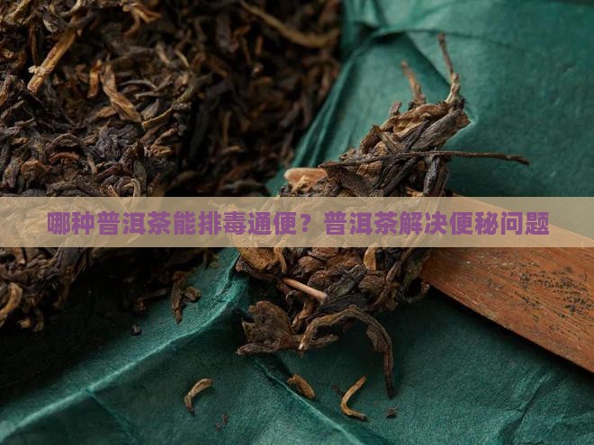 哪种普洱茶能排毒通便