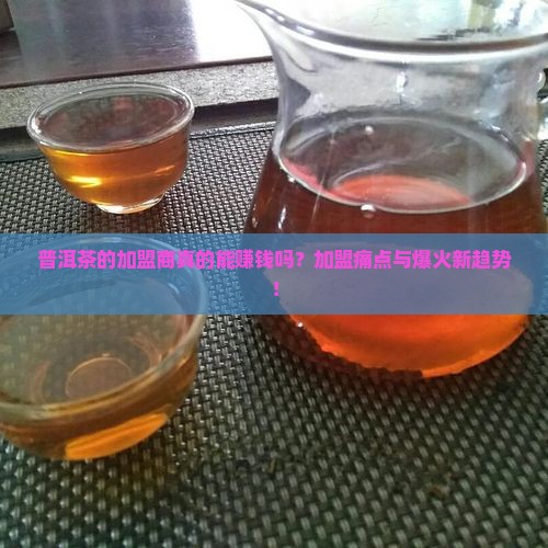 普洱茶的加盟商
