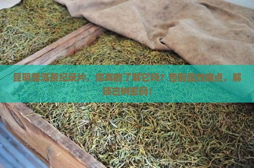普洱茶纪录片昆明