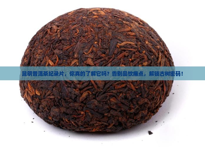 普洱茶纪录片昆明