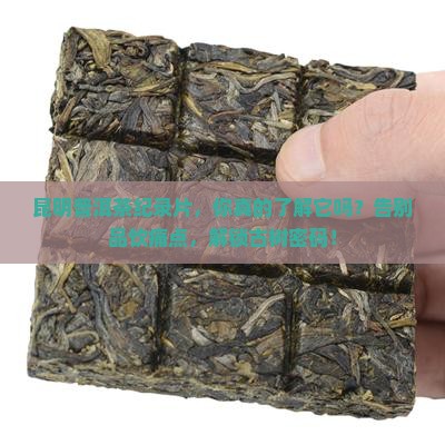普洱茶纪录片昆明