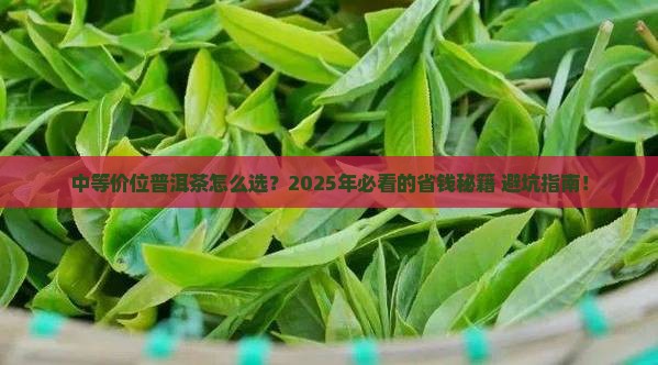 中等价位的普洱茶推荐