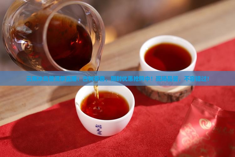 云南冰岛普洱茶直播