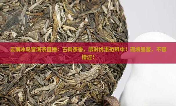 云南冰岛普洱茶直播