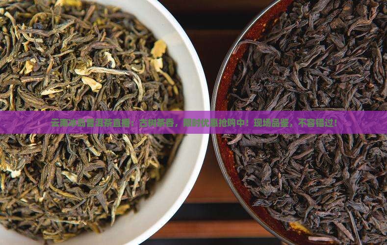 云南冰岛普洱茶直播