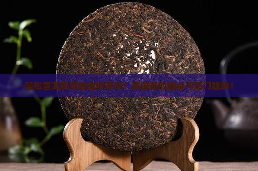 曼松普洱茶介绍特点