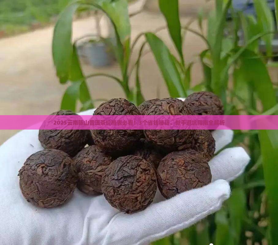 云南陈山普洱茶价格表最新