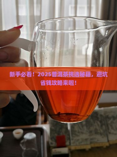 新手普洱茶挑选技巧