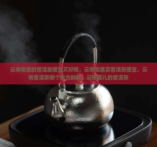 云南哪里的普洱最便宜
