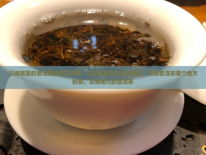 云南哪里的普洱最便宜
